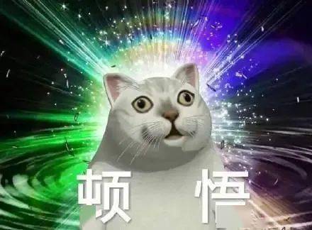 下载了反诈APP<strong></p>
<p>火币矿池app下载</strong>，为何还是被骗？