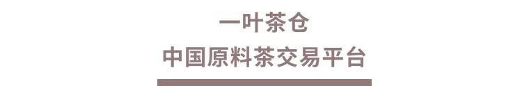 一叶茶仓——中国原料茶交易平台