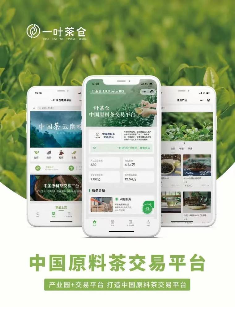 一叶茶仓——中国原料茶交易平台