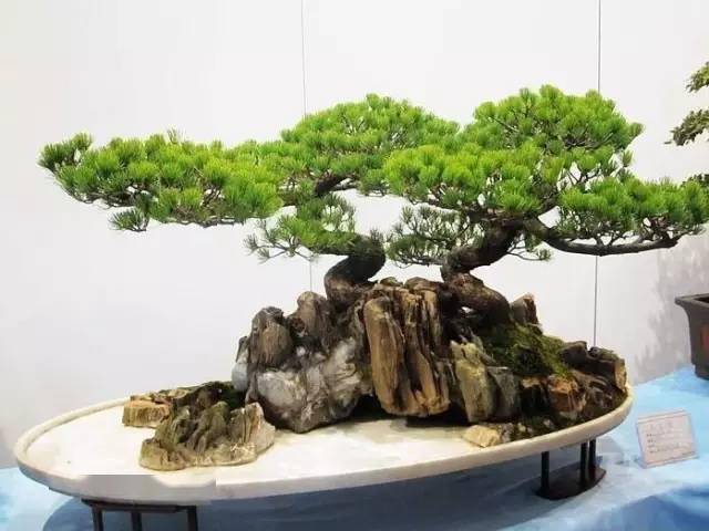 中国100种“中国符号”