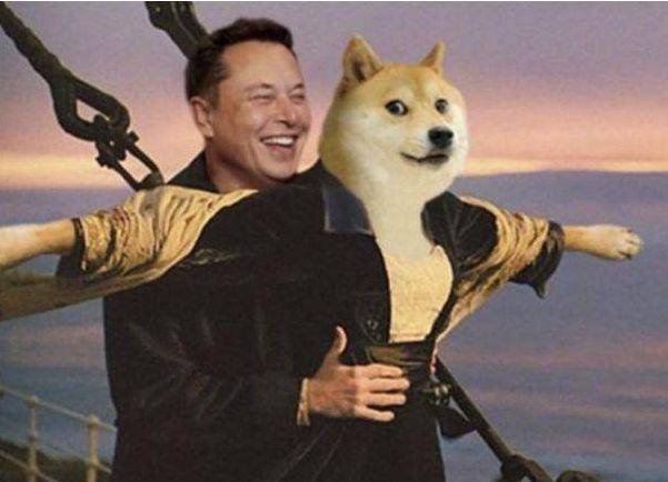 狗狗团队:“狗狗币是新的狗狗币”