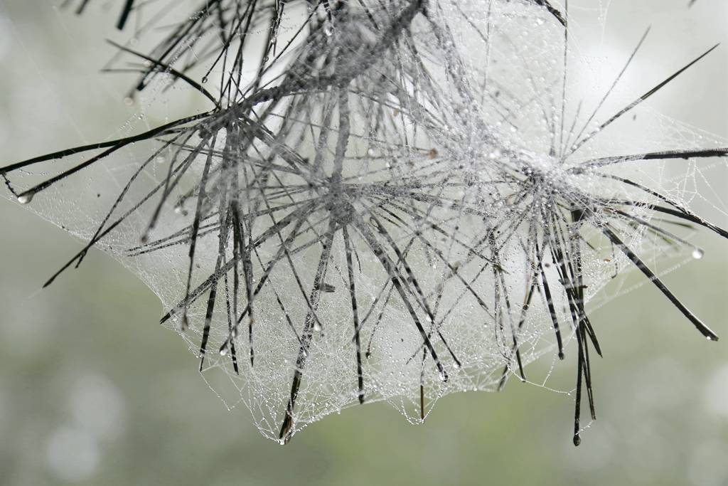 网呀网<strong></p>
<p>币富网</strong>，说不清的网