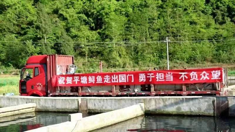 贵州14个“外贸空白县”清零