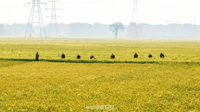 每天3分钟 尽览天下事（笑果被罚超1300万<strong></p>
<p>火币网期货</strong>，李某某被警方立案调查/骤降11℃！大风+降温+降雨马上到/河南首富进入全国前十）