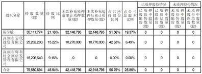 证券代码：603978 证券简称：深圳新星 公告编号：2024-008 债券代码：113600 债券简称：新星转债