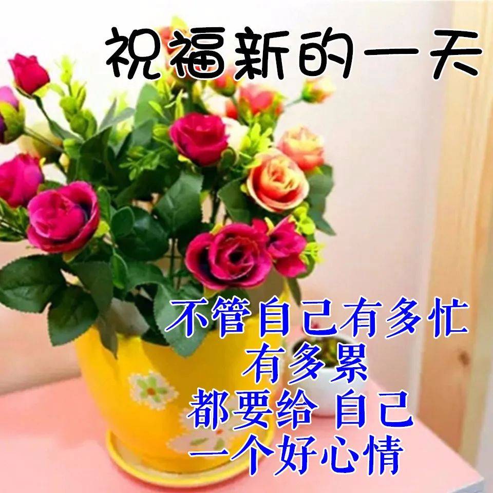 2024微信早晨好动态图片大全<strong></p>
<p>理财图片大全</strong>，朋友圈早晨好问候语图片大全