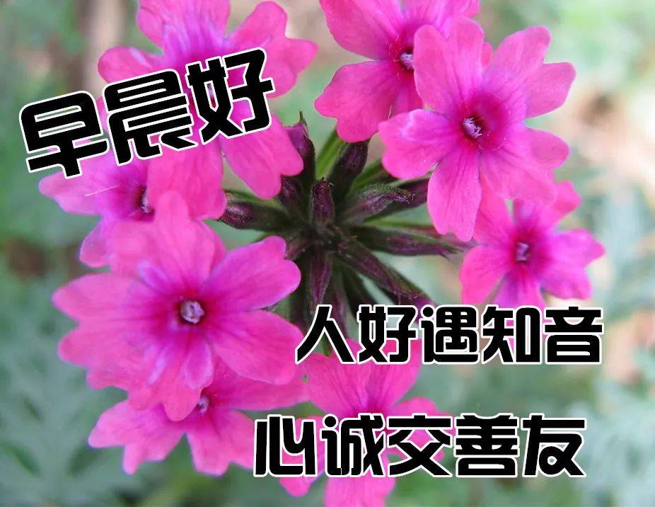 2024微信早晨好动态图片大全<strong></p>
<p>理财图片大全</strong>，朋友圈早晨好问候语图片大全