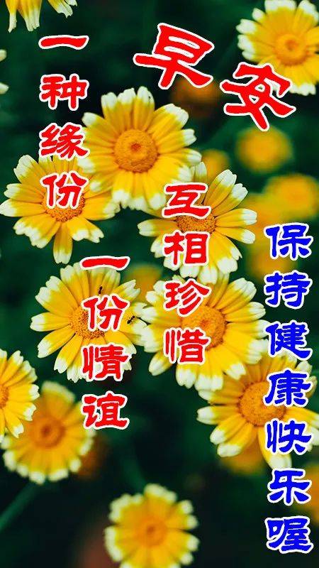 2024微信早晨好动态图片大全<strong></p>
<p>理财图片大全</strong>，朋友圈早晨好问候语图片大全