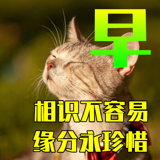 3月11日龙抬头早上好祝福语图片大全<strong></p>
<p>理财图片大全</strong>，问候动态表情图片大全