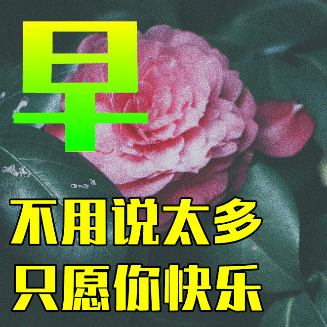 3月11日龙抬头早上好祝福语图片大全<strong></p>
<p>理财图片大全</strong>，问候动态表情图片大全
