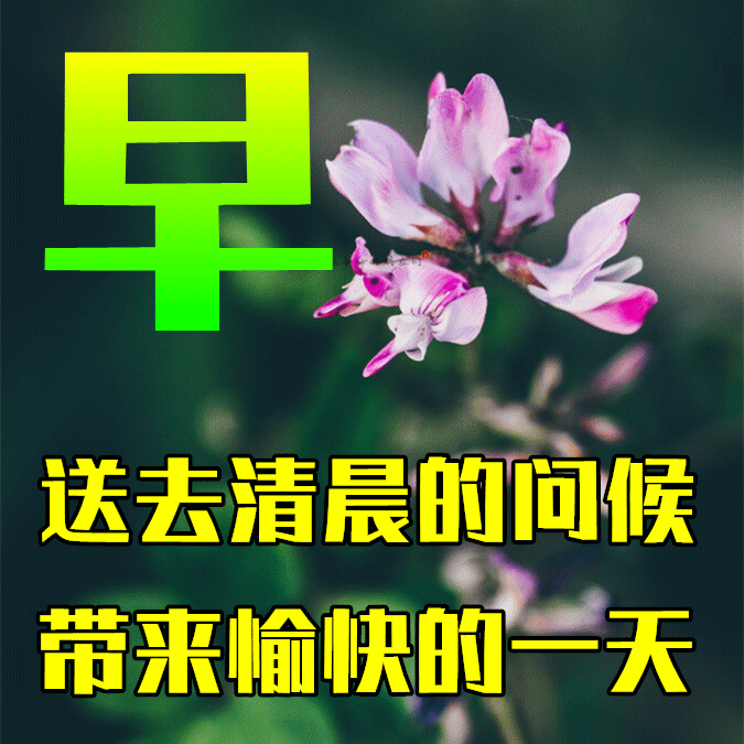 3月11日龙抬头早上好祝福语图片大全<strong></p>
<p>理财图片大全</strong>，问候动态表情图片大全