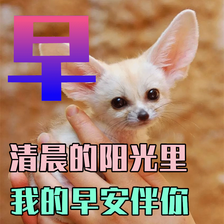 3月11日龙抬头早上好祝福语图片大全<strong></p>
<p>理财图片大全</strong>，问候动态表情图片大全