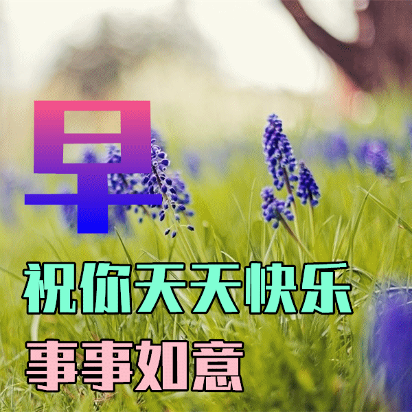 3月11日龙抬头早上好祝福语图片大全<strong></p>
<p>理财图片大全</strong>，问候动态表情图片大全