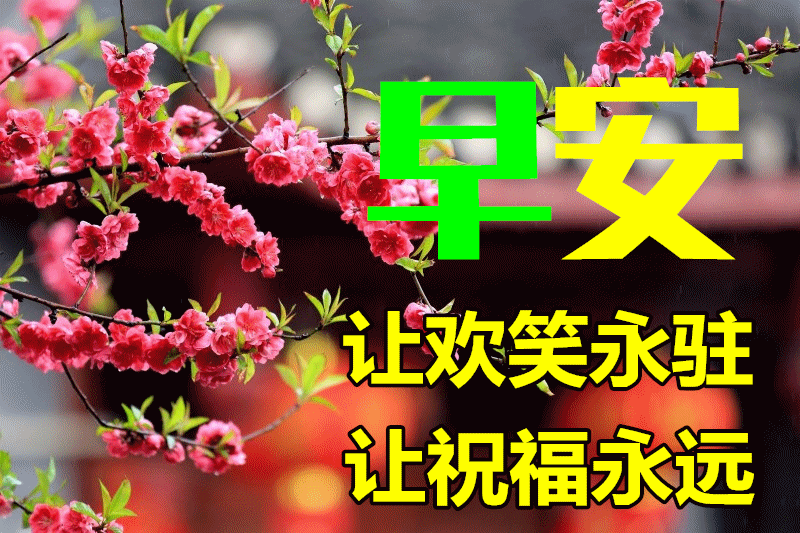最新好看的早安祝福图片大全<strong></p>
<p>理财图片大全</strong>，早上好漂亮问候图片
