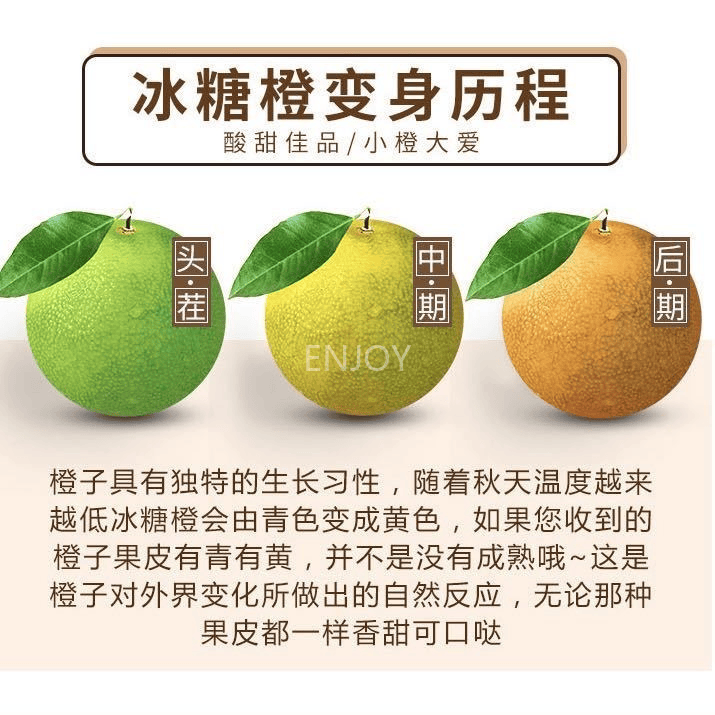 【云南哀牢山冰糖橙】19.9元起享！吃着似冰糖甜<strong></p>
<p>橙甜理财</strong>，细腻化渣，清甜可口，皮薄肉厚，给你秋天第一口鲜甜～