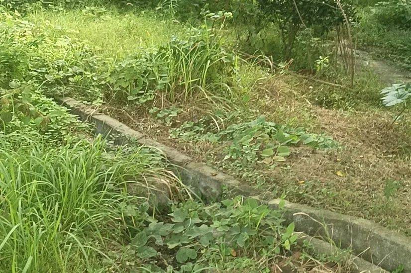 郴州800斤疯牛跑出后顶着屠宰工人一路上山又撞下山<strong></p>
<p>最近理财</strong>，已被击毙