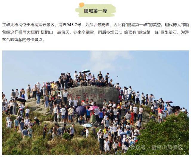 深圳“鹏城第一峰”是假石头<strong></p>
<p>理财怎么计算收益</strong>？景区正式回应：是人造的假山