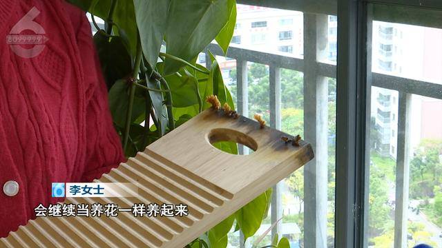 “可以蒸蛋”！昆明一女子家中搓衣板上长菌<strong></p>
<p>君融理财</strong>，品种竟是……