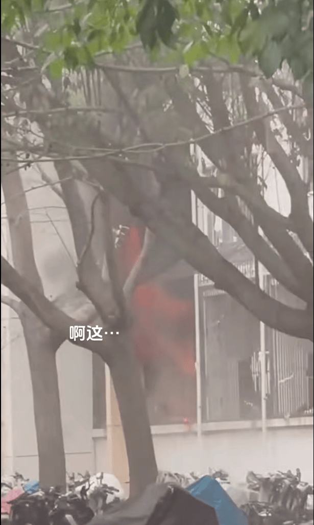 女生宿舍起火<strong></p>
<p>理财产品网</strong>，楼栋闸机成撤离“拦路虎”，警务室：刷脸是为保障安全