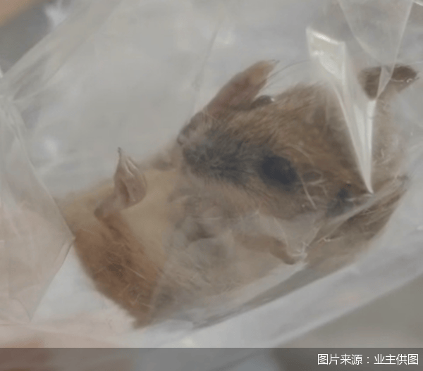老鼠乱窜、直饮水发黄<strong></p>
<p>理财产品网</strong>，北京业主千万元买的和锦诚园居然是这样