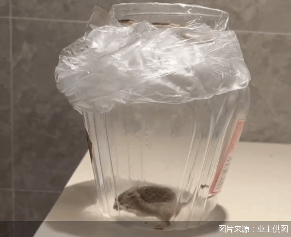 老鼠乱窜、直饮水发黄<strong></p>
<p>理财产品网</strong>，北京业主千万元买的和锦诚园居然是这样