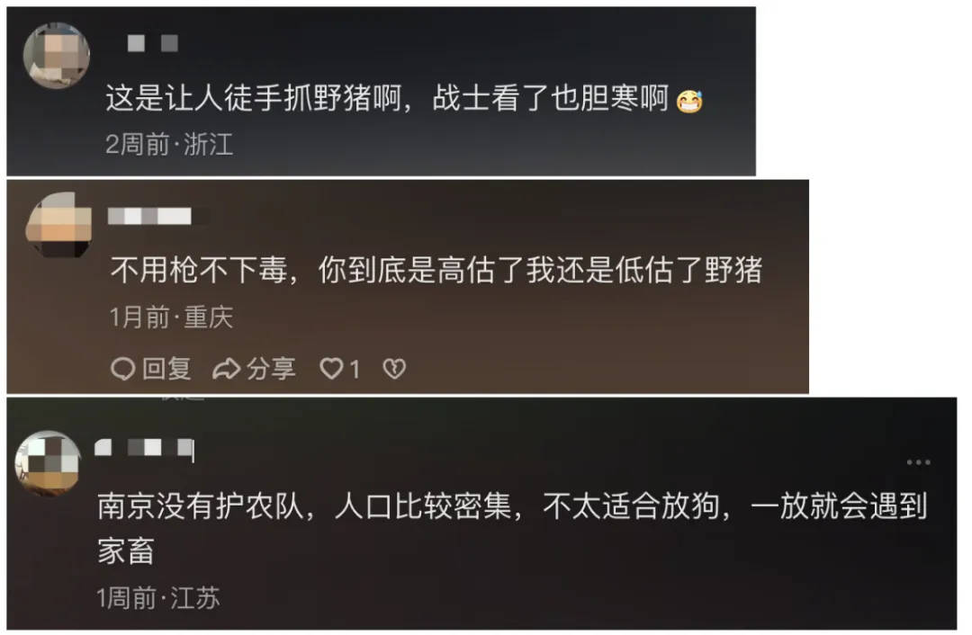 91.5万元打300头野猪<strong></p>
<p>靠谱的理财app</strong>，南京一企业中标后弃标，知情人：人手不够