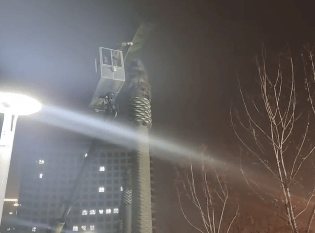 县政府门前广场花1305万建设仿真椰子树、雕塑等<strong></p>
<p>靠谱的理财app</strong>，中央点名通报后，仿真椰子树连夜拆除