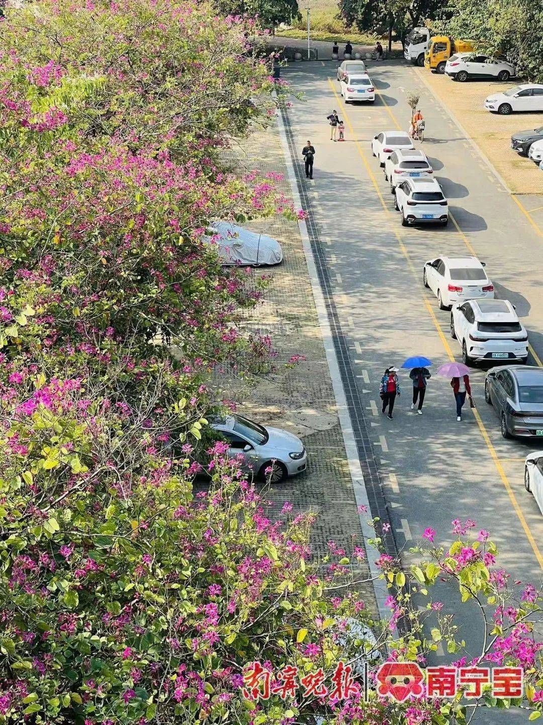 广西将开启“冻人”模式<strong></p>
<p>钱贷理财</strong>!最冷出现在这一天→