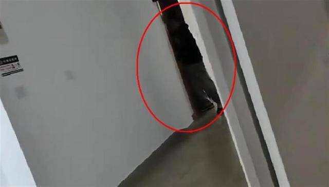 上海一高校男生晚上撞开女生寝室门<strong></p>
<p>白领理财</strong>，校方：醉酒后走错了