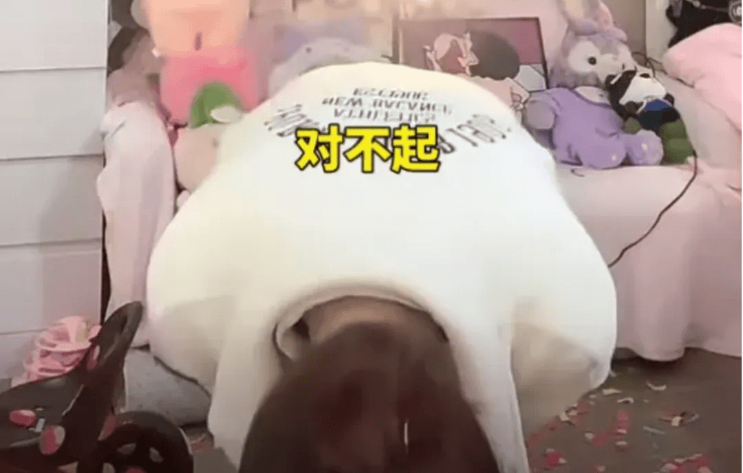 吴柳芳再被罚<strong></p>
<p>余额宝投资理财</strong>！粉丝数从600多万暴降到4万！