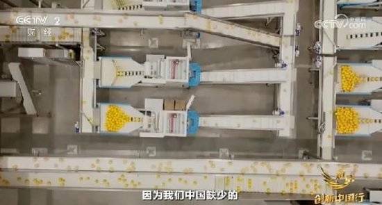 2024年末央视再度专访钟睒睒<strong></p>
<p>理财的内容</strong>，背后有何深意？