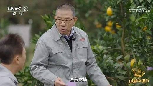 2024年末央视再度专访钟睒睒<strong></p>
<p>理财的内容</strong>，背后有何深意？