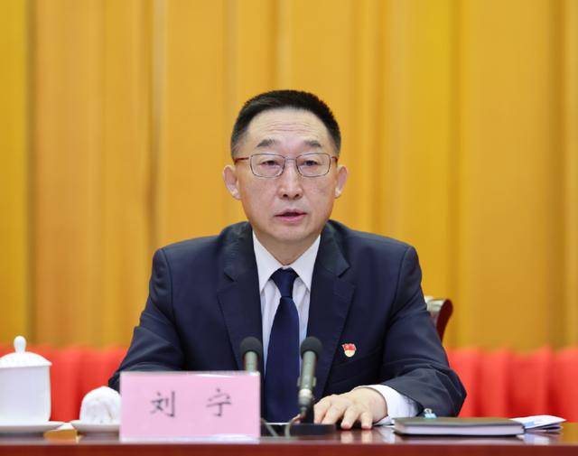 刘宁任河南省委书记<strong></p>
<p>海银理财</strong>，楼阳生因年龄原因不再担任