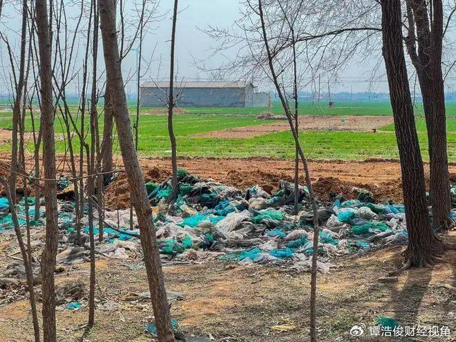 小恶魔被判无期<strong></p>
<p>海银理财</strong>，为何网友仍不满意？