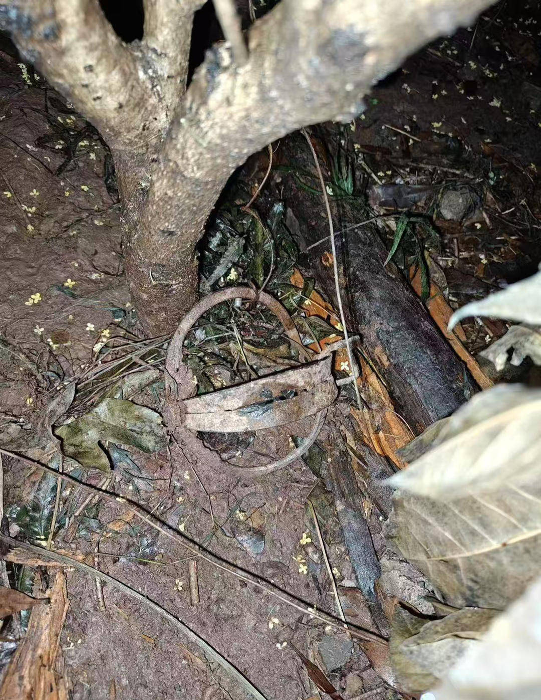 重庆一小区物业大规模投毒捕杀流浪猫？物业回应：通知表述欠缺考虑<strong></p>
<p>个人理财方案</strong>，已撤回