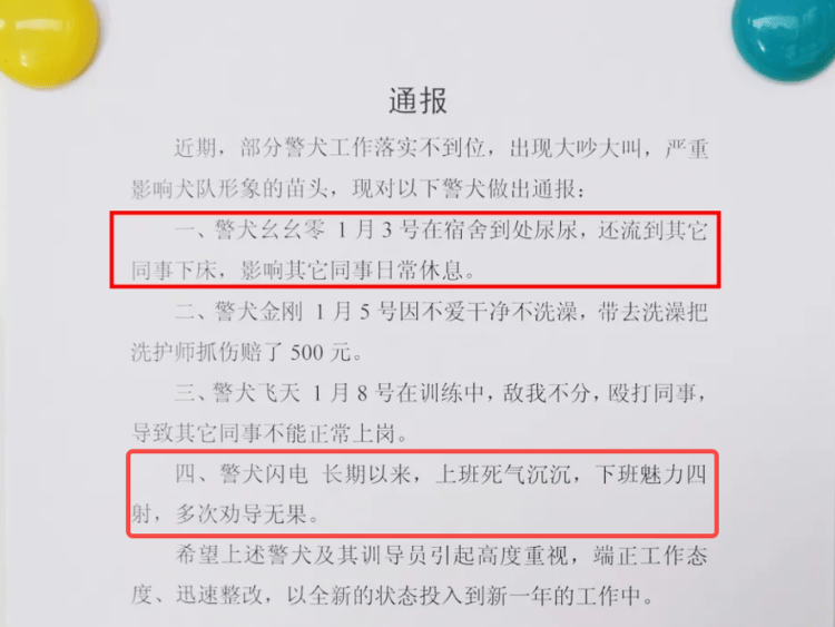 “上班死气沉沉、下班魅力四射”<strong></p>
<p>理财最高</strong>，警犬被通报