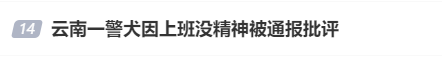 “上班死气沉沉、下班魅力四射”<strong></p>
<p>理财最高</strong>，警犬被通报