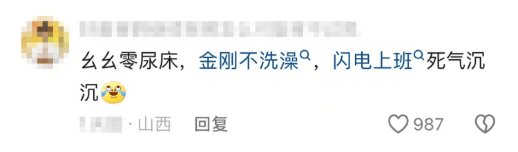 “上班死气沉沉、下班魅力四射”<strong></p>
<p>理财最高</strong>，警犬被通报