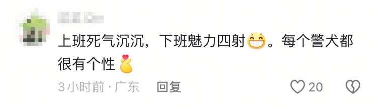 “上班死气沉沉、下班魅力四射”<strong></p>
<p>理财最高</strong>，警犬被通报