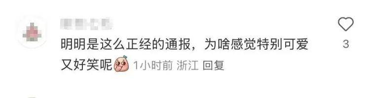 “上班死气沉沉、下班魅力四射”<strong></p>
<p>理财最高</strong>，警犬被通报