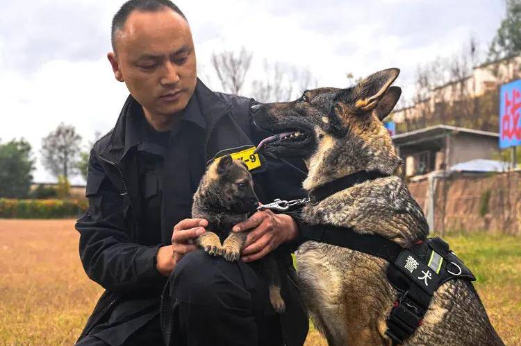 “上班死气沉沉、下班魅力四射”<strong></p>
<p>理财最高</strong>，警犬被通报