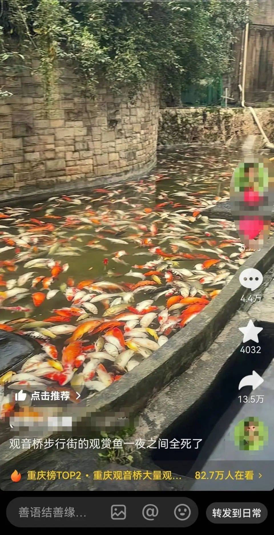 ​一公园观赏鱼大量死亡<strong></p>
<p>理财最高</strong>，死鱼装满30余编织袋，警方通报