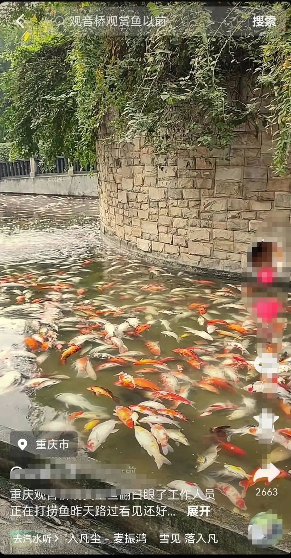 ​一公园观赏鱼大量死亡<strong></p>
<p>理财最高</strong>，死鱼装满30余编织袋，警方通报
