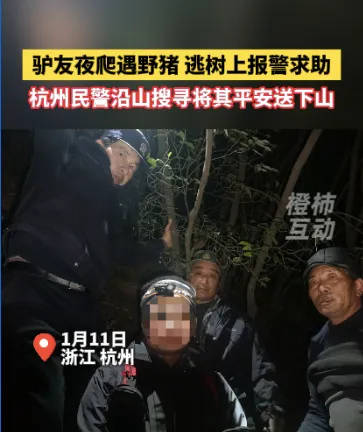 “我现在在树上<strong></p>
<p>分红理财</strong>，野猪在下面……”杭州一男子深夜报警！