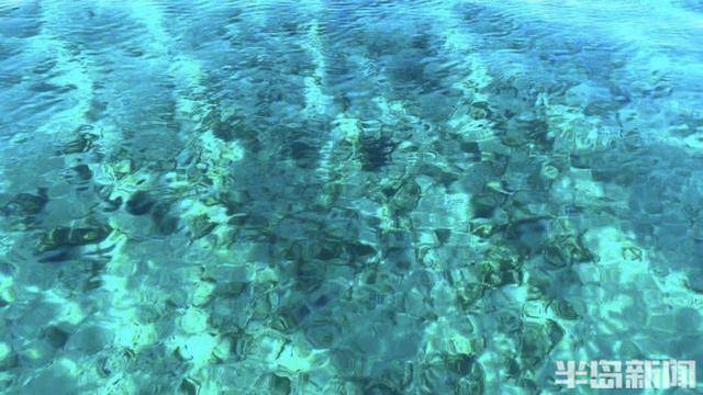 青岛女子买下70万平米小岛后续来了：目前没打算私有<strong></p>
<p>分红理财</strong>，七八月份将带员工到岛上团建