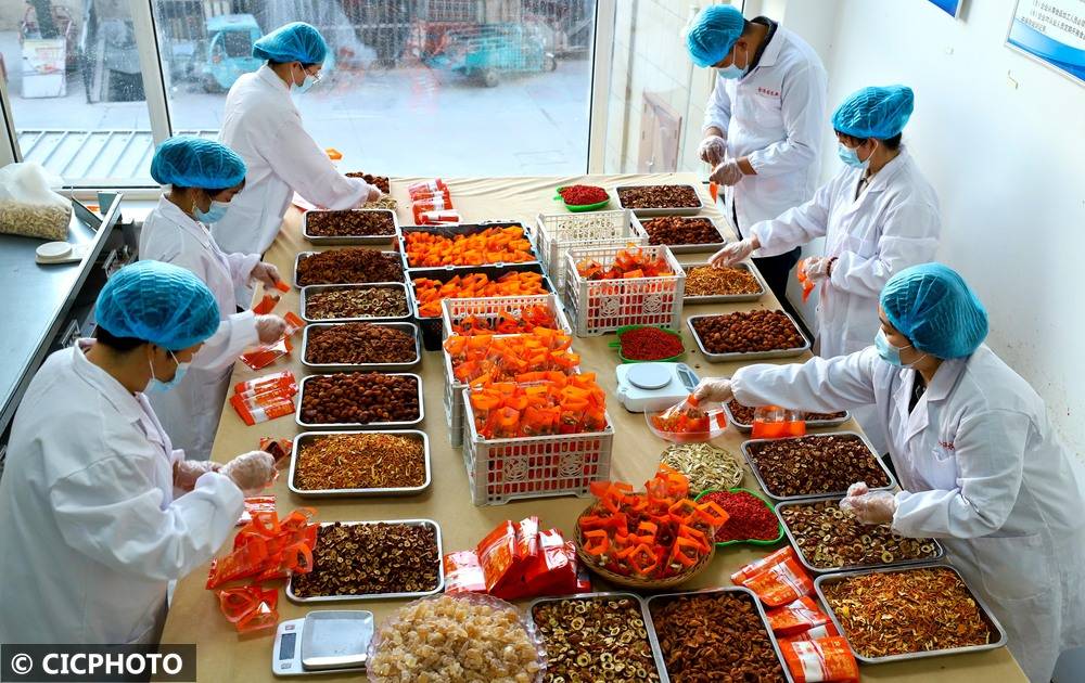 中药材助农多元增收