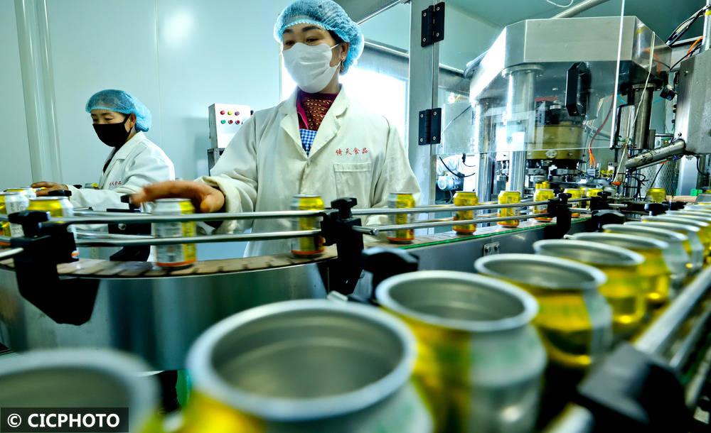 中药材助农多元增收