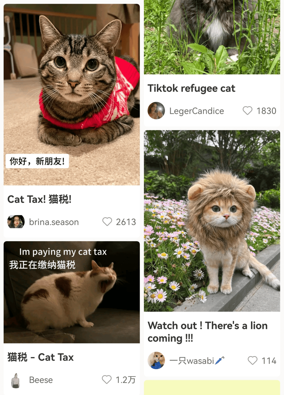 大量外国网友涌入小红书<strong></p>
<p>江苏理财</strong>，网友喊话：别下载拼多多，等我邀请你