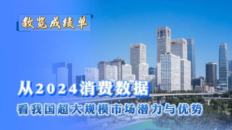 数览成绩单｜从2024消费数据看<strong></p>
<p>理财的游戏</strong>我国超大规模市场潜力与优势
