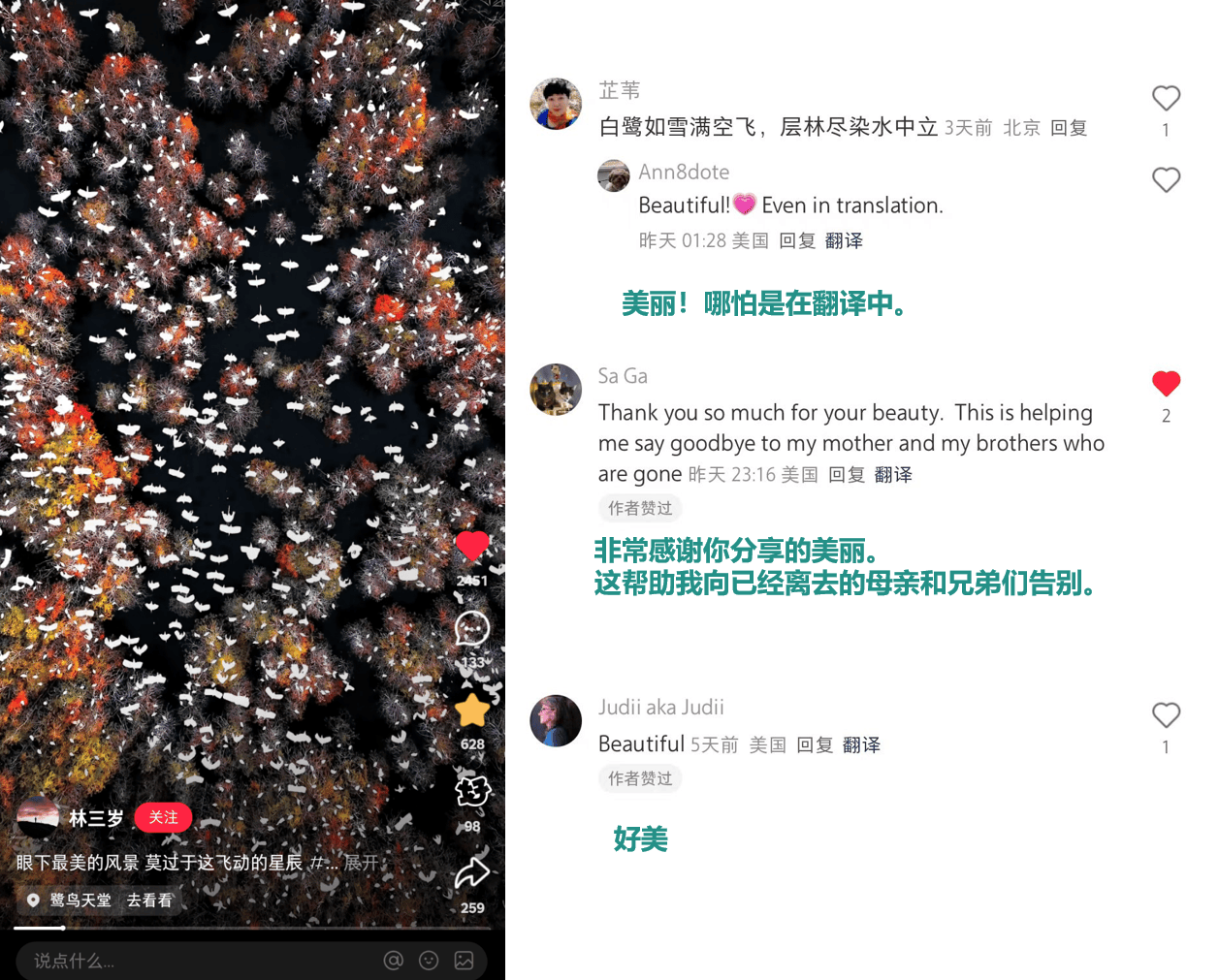 小红书上的外国网友<strong></p>
<p>理财送手机</strong>，都在点赞佛山什么？